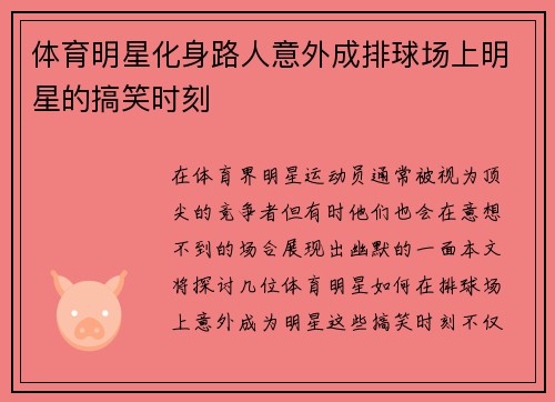 体育明星化身路人意外成排球场上明星的搞笑时刻